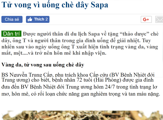 Tac Dung Phu Cua Tra Day