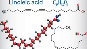 Axit Alpha Linoleic